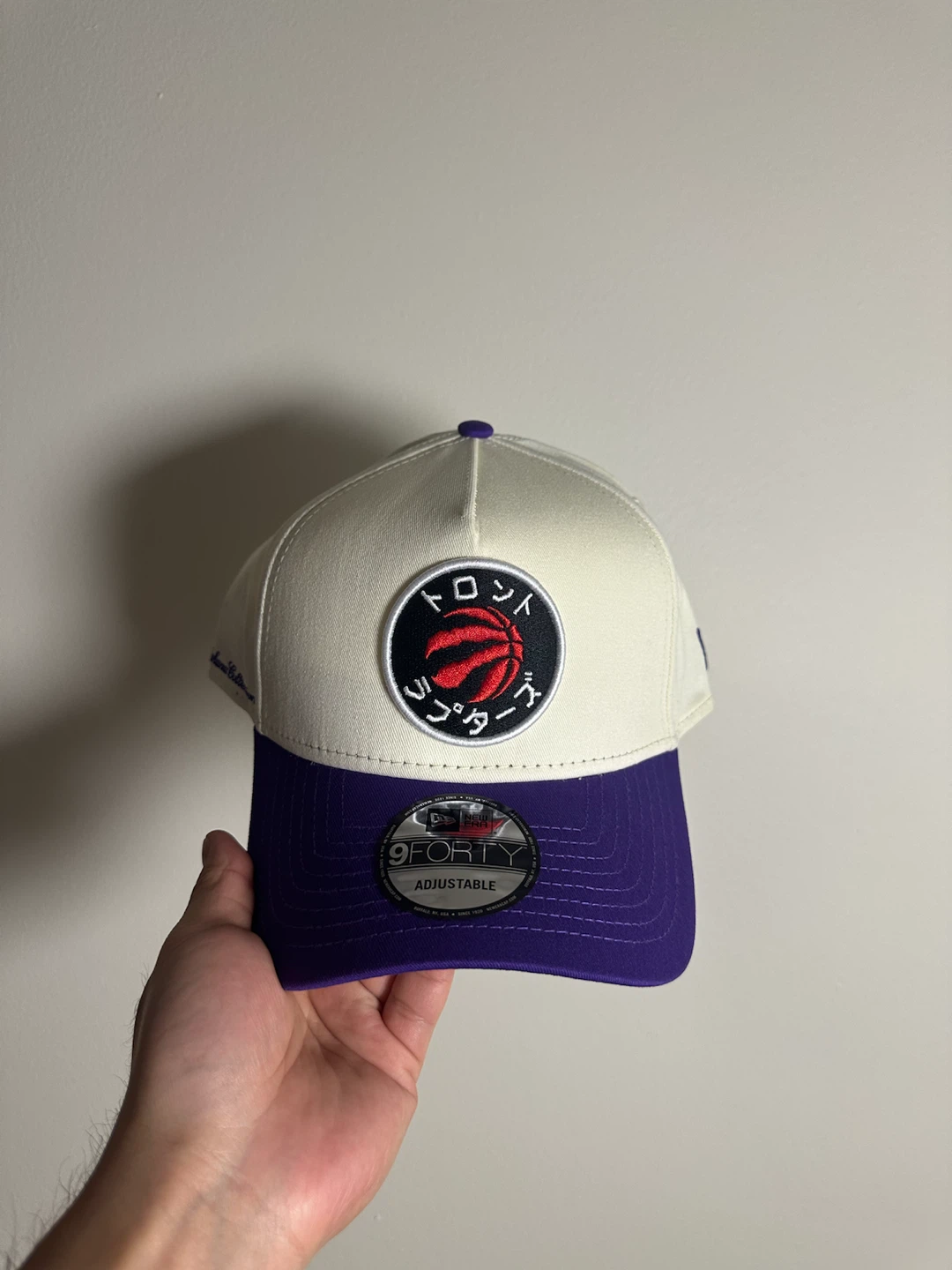 New Era Toronto Raptors 9FORTY Adjustable Hat