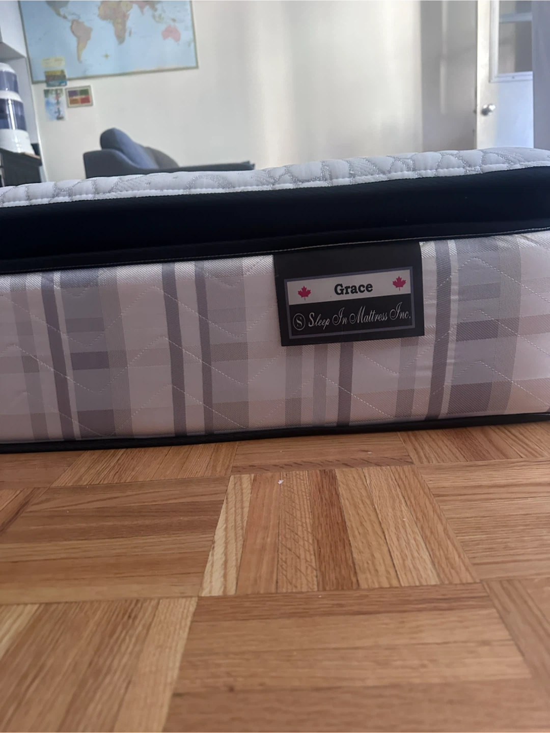 Queen Mattress FREE (8 year old) - photo 2