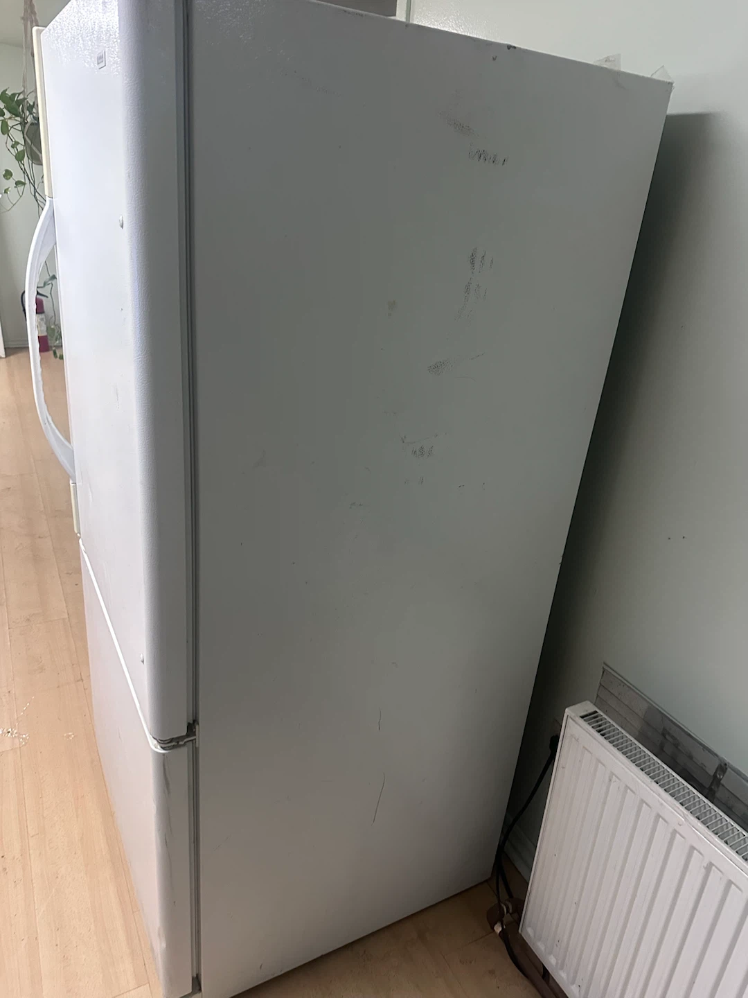 Kenmore Refrigerator - photo 3