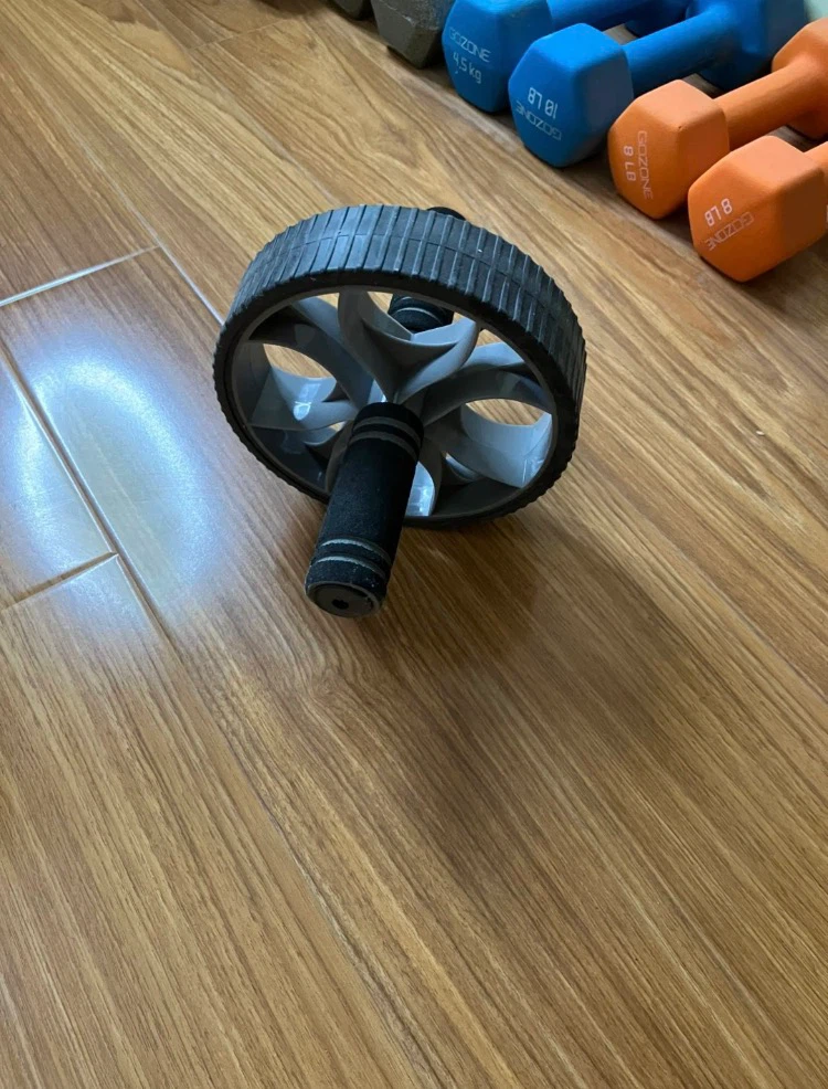 Ab roller wheel
