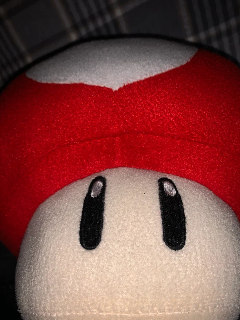 Super Mario Mushroom Plush - photo 3