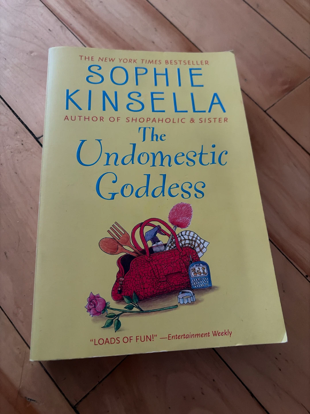 The Undomestic Goddess by Sophie Kinsella