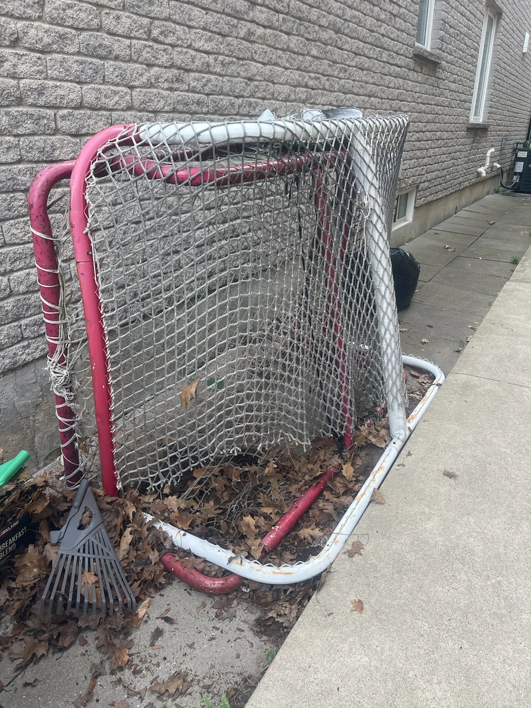 Hockey Net