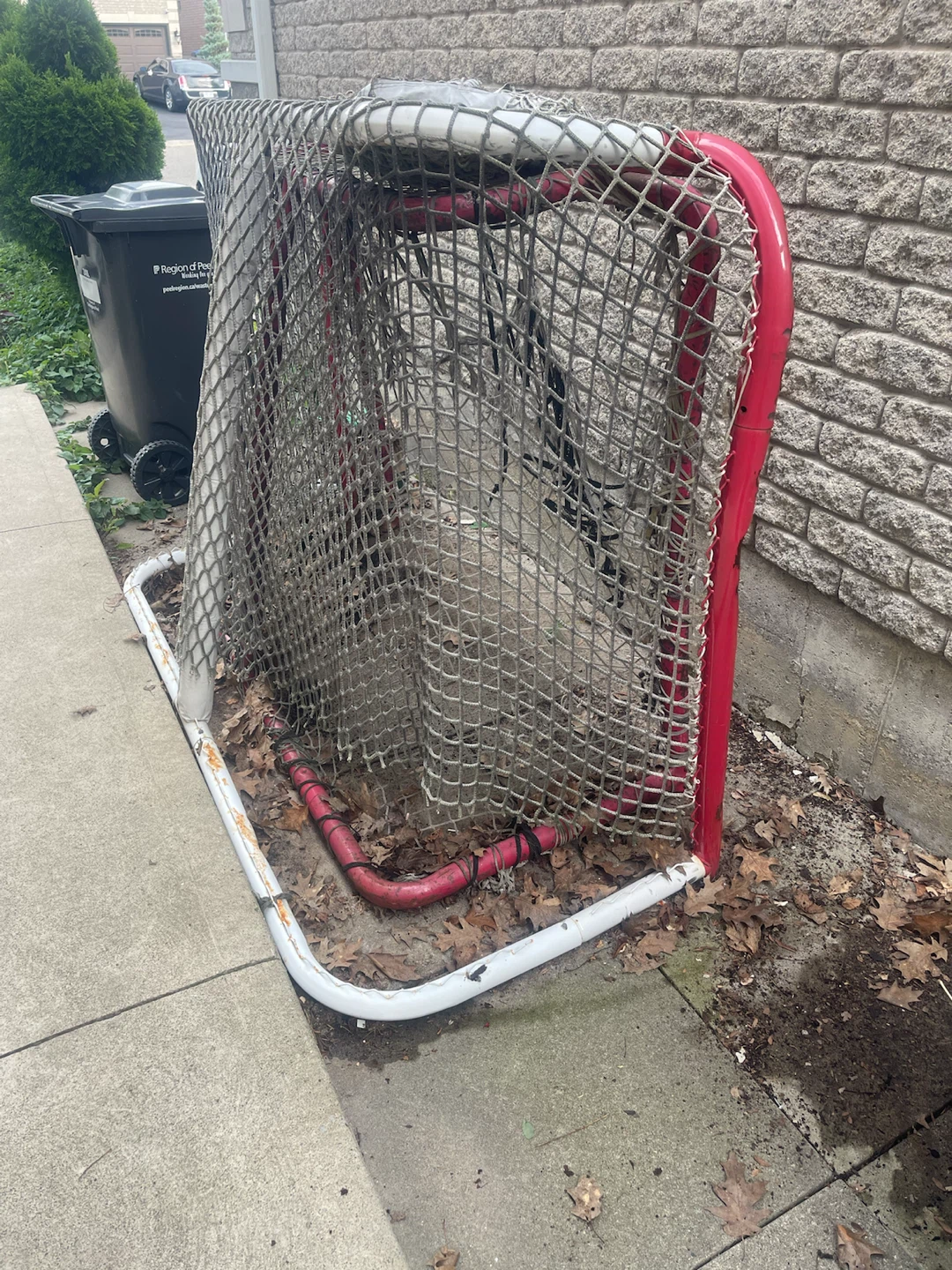 Hockey Net - photo 2