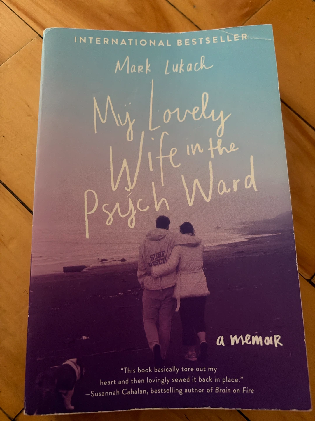 My Lovely Wife in the Psych Ward by Mark Lukach