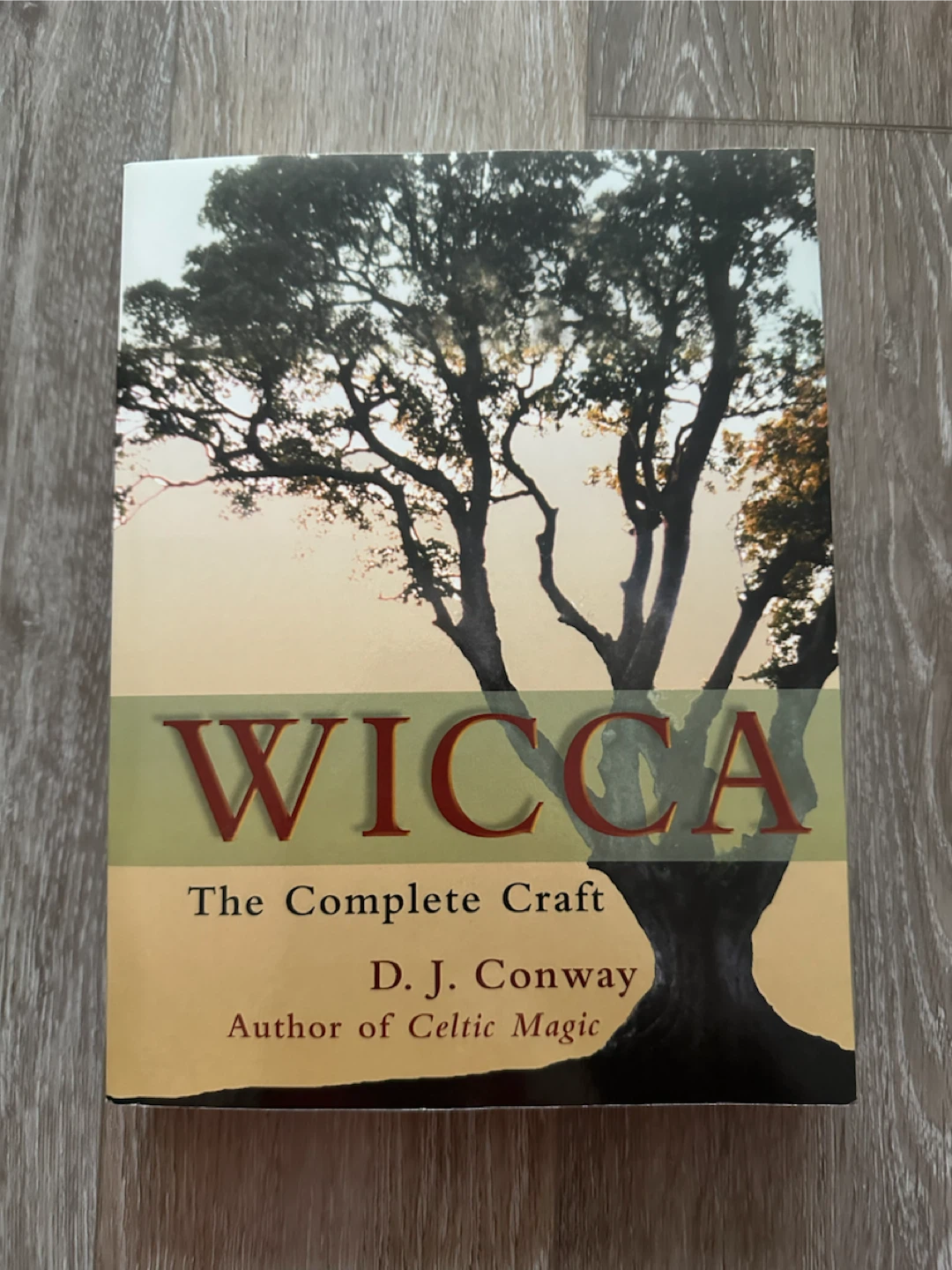 Wicca: The Complete Craft by D. J. Conway Book