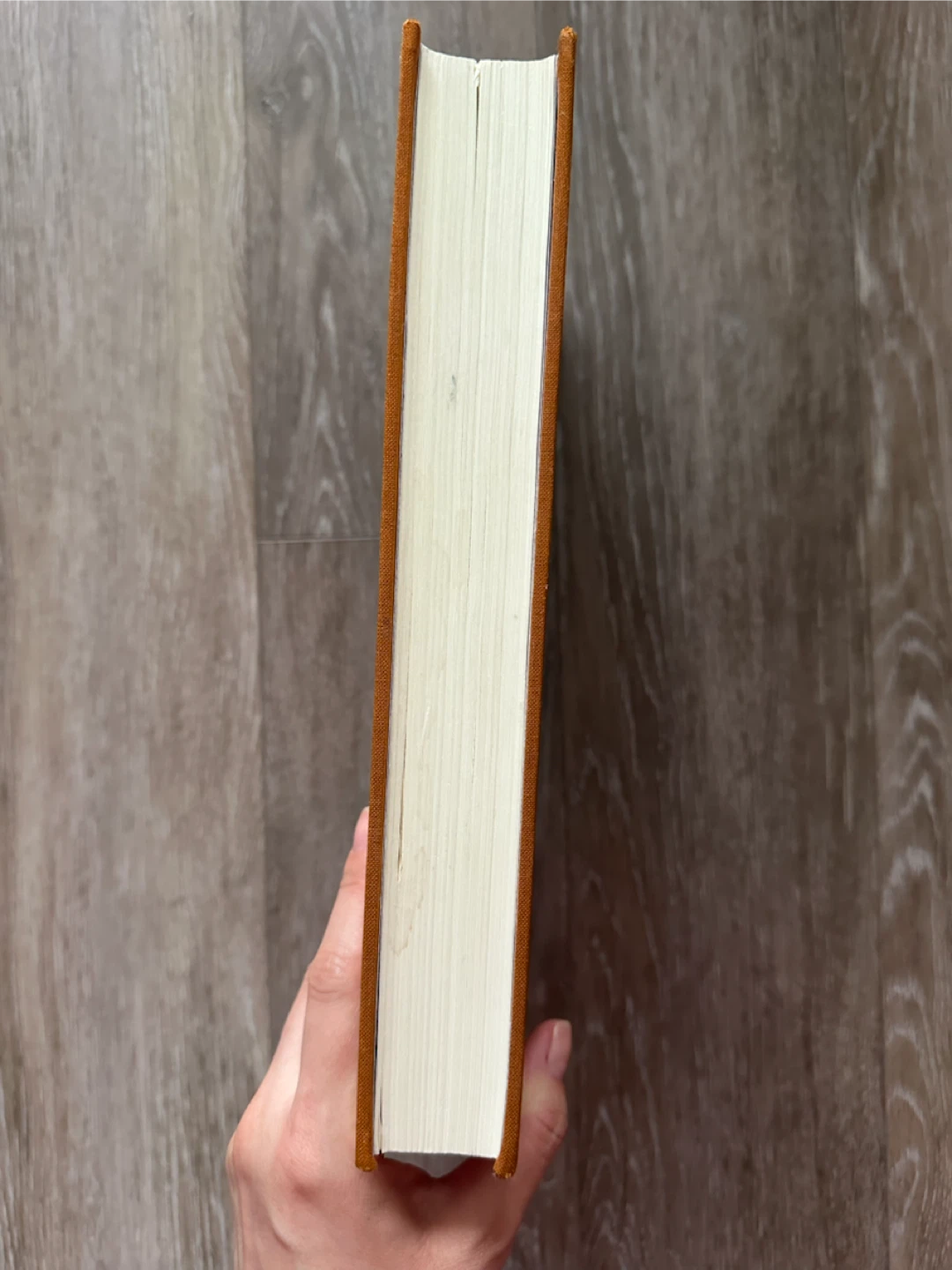 Oliver Twist by Charles Dickens - Nonesuch Edition - photo 4