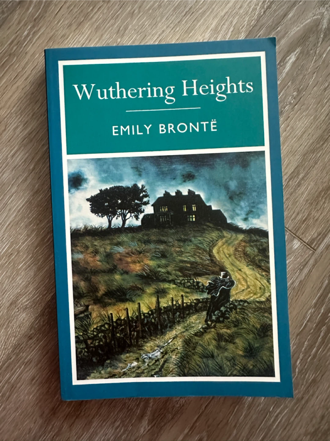 Wuthering Heights by Emily Bronte Book