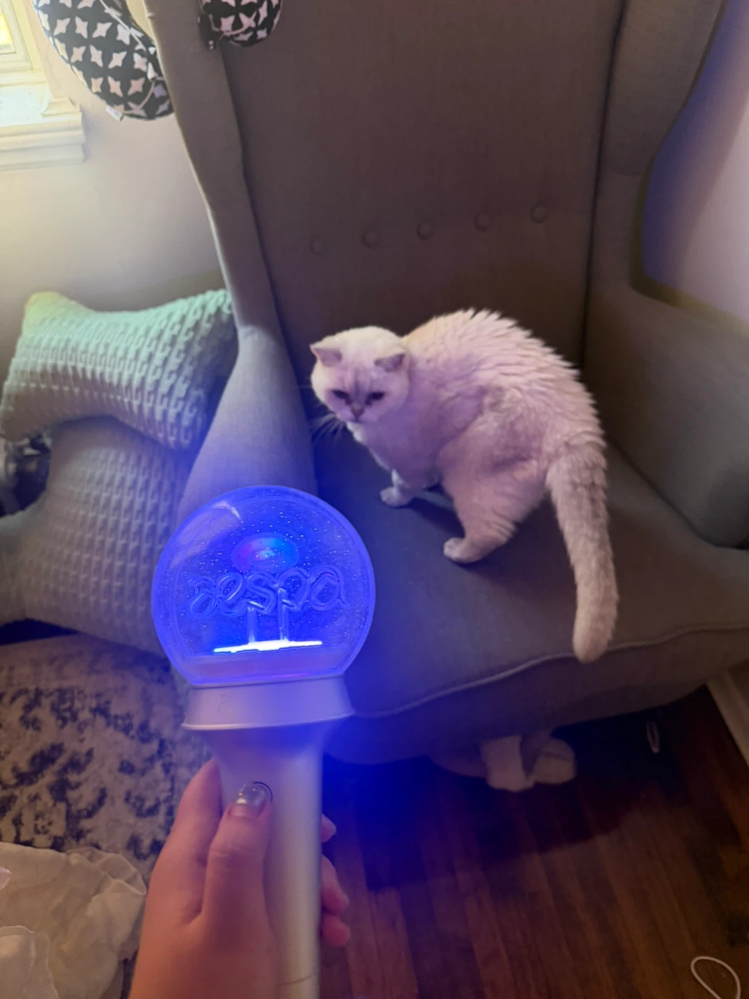 aespa Official Lightstick