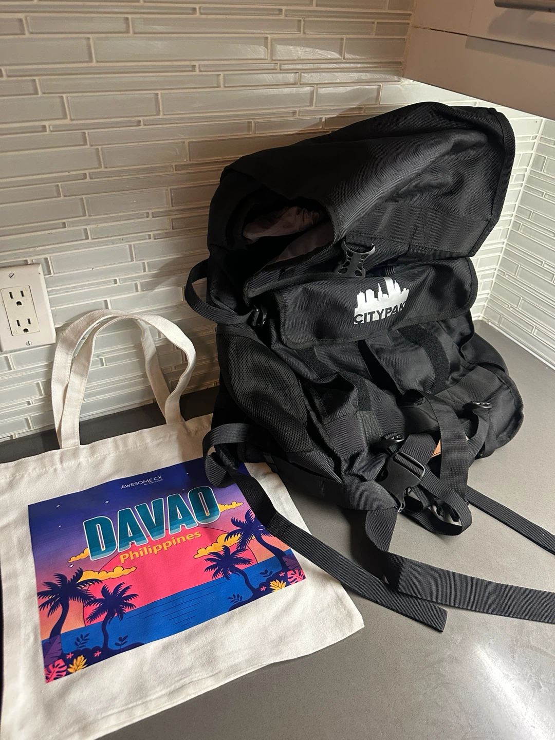MISC. $10 NEW HAND BAGS TOTES PURSE BACKPACKS - photo 2