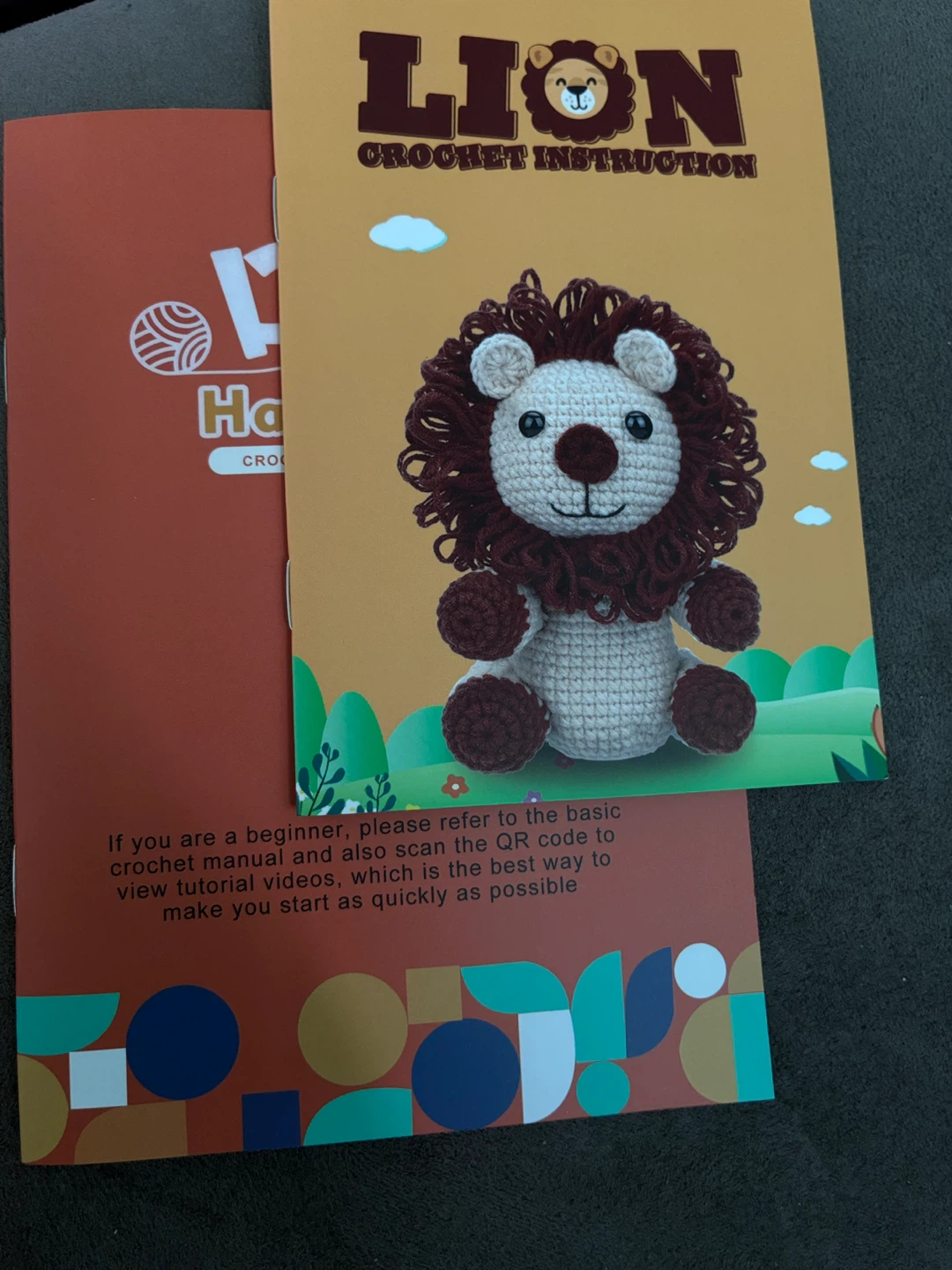 Lion Learn to Crochet Kit for Beginners - photo 3