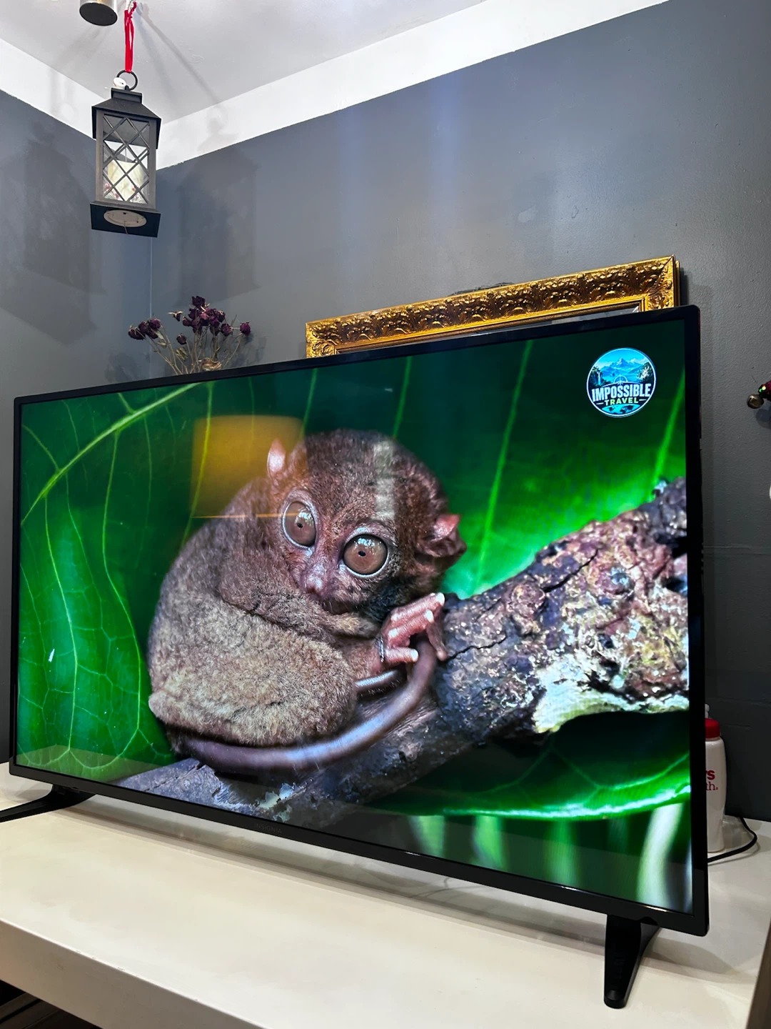 Insignia 55” Fire TV Smart Television, 4K UHD - photo 2