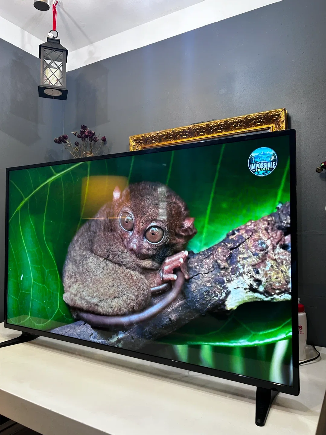 Insignia 55” Fire TV Smart Television, 4K UHD - photo 2