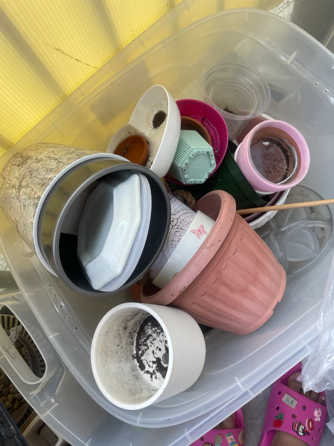 Assorte Plant Pots