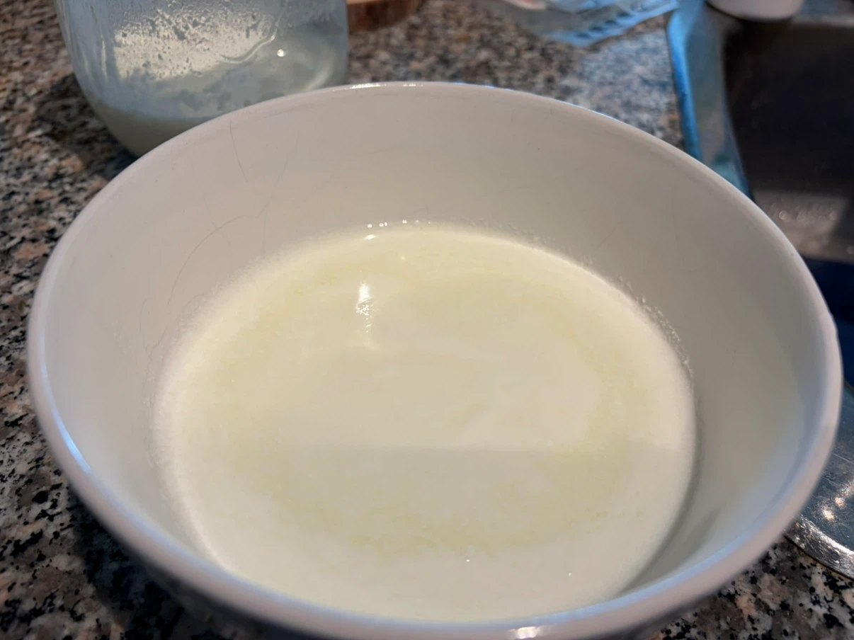 Kefir Grains - photo 2
