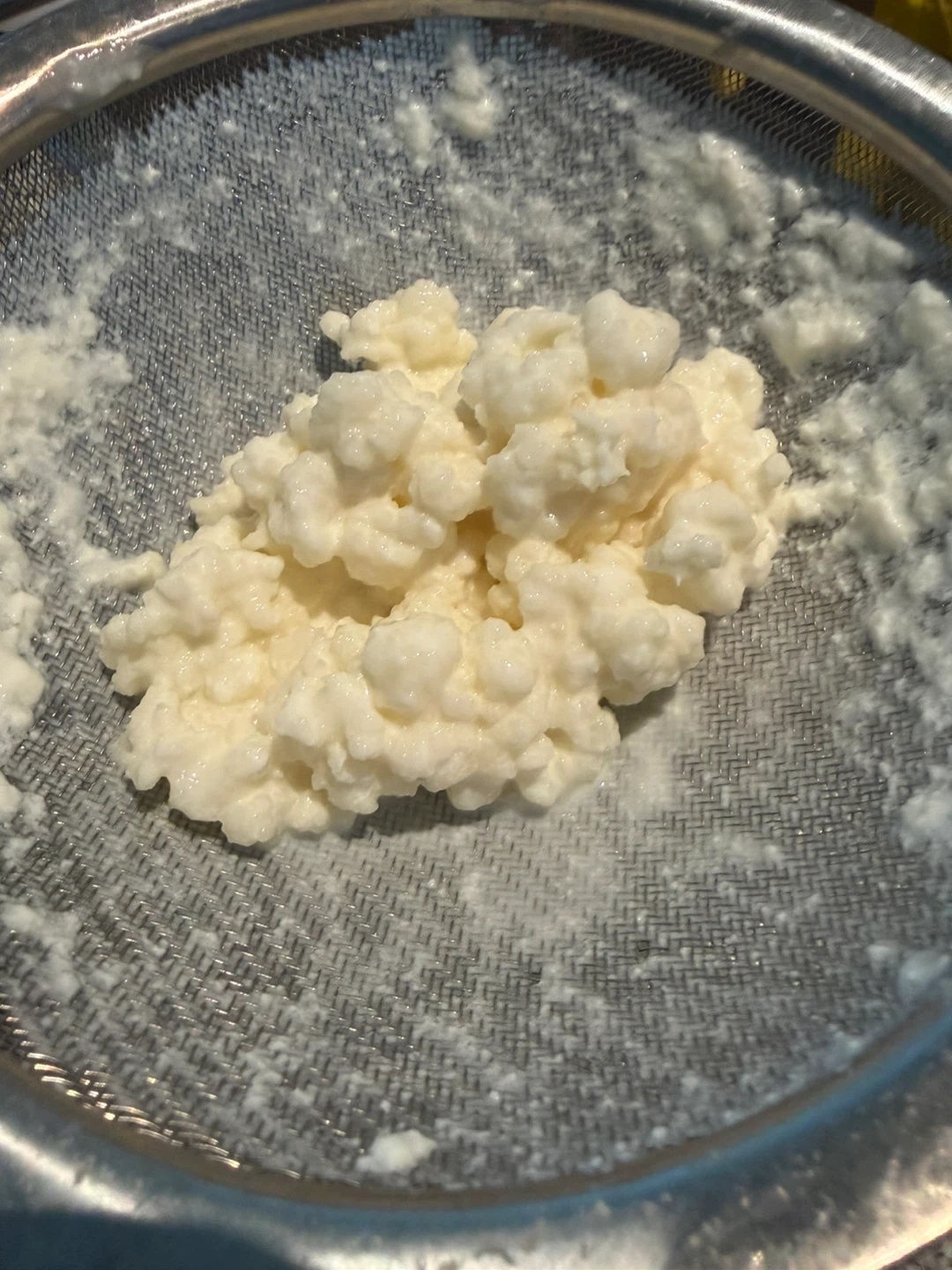 Kefir Grains - photo 3