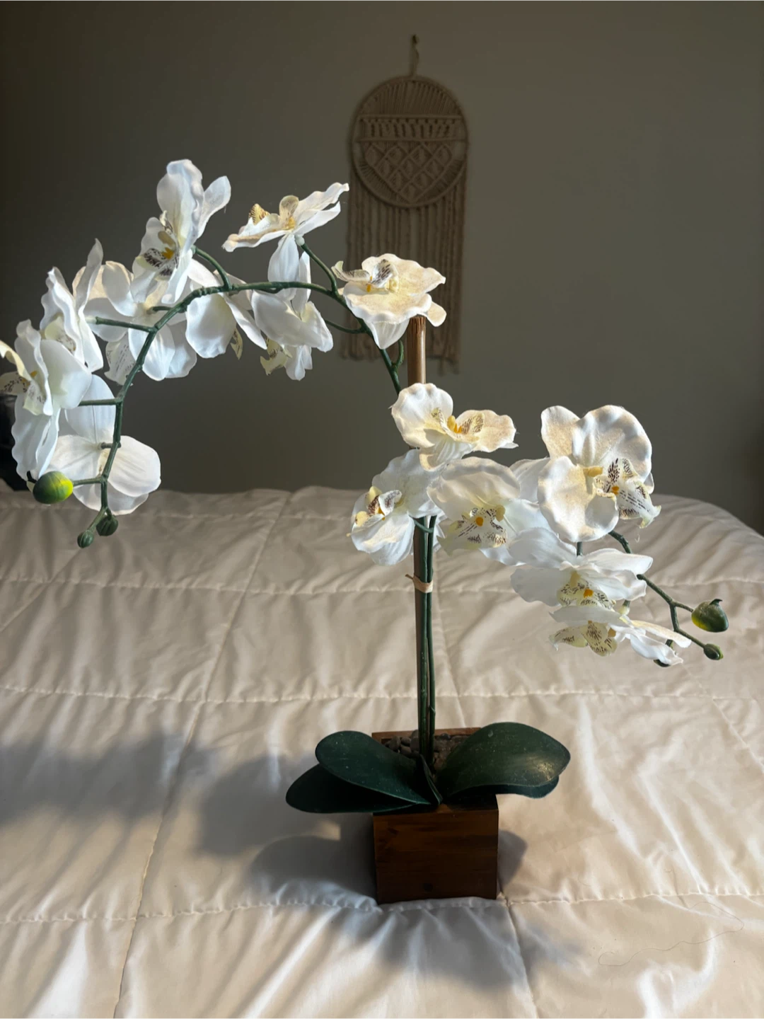 Artificial White Orchid in Wooden Pot