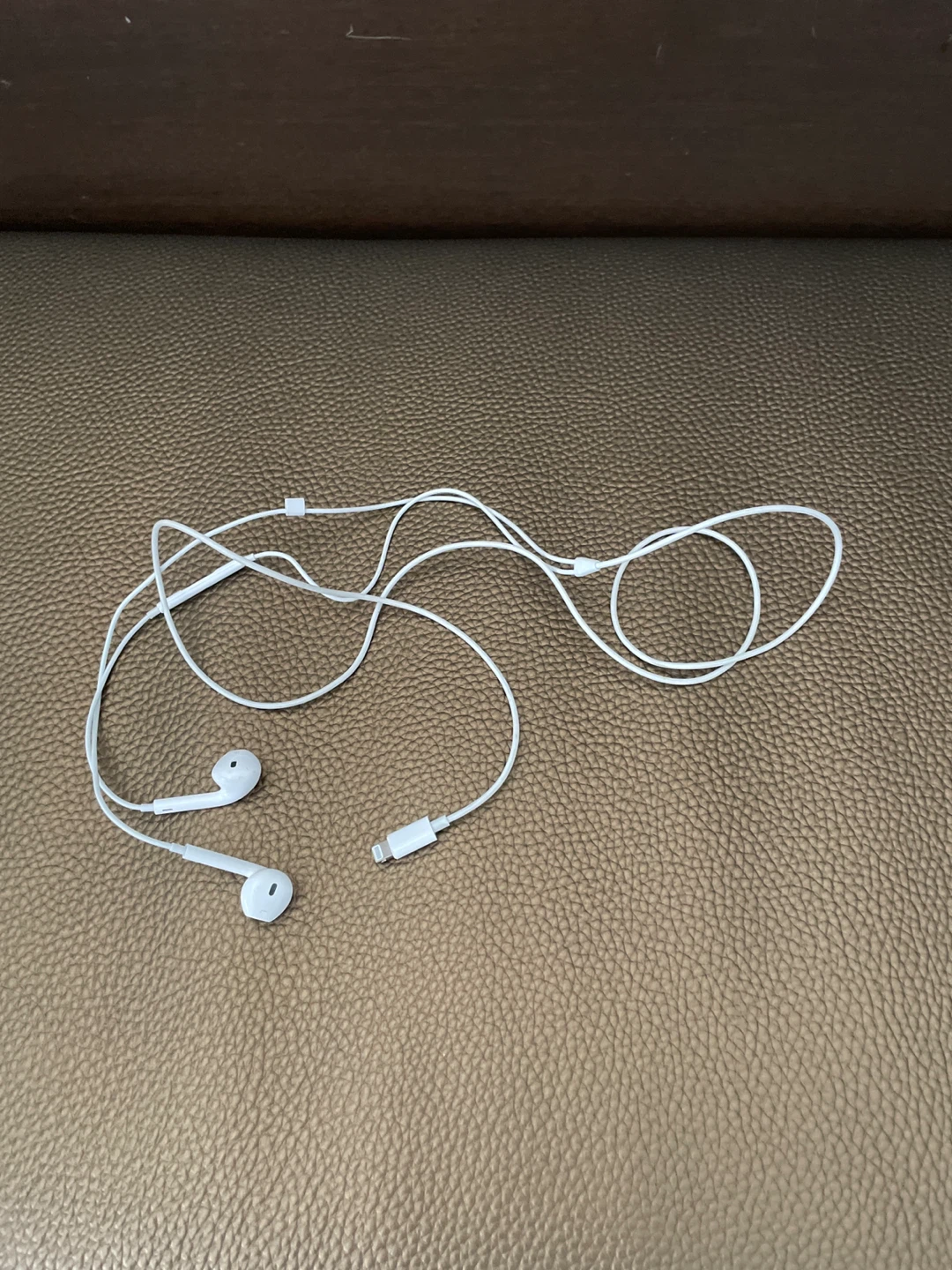 Apple EarPods with Lightning Connector