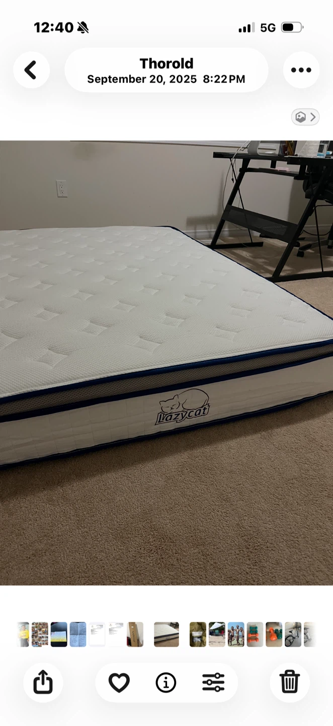 Lazycat Mattress