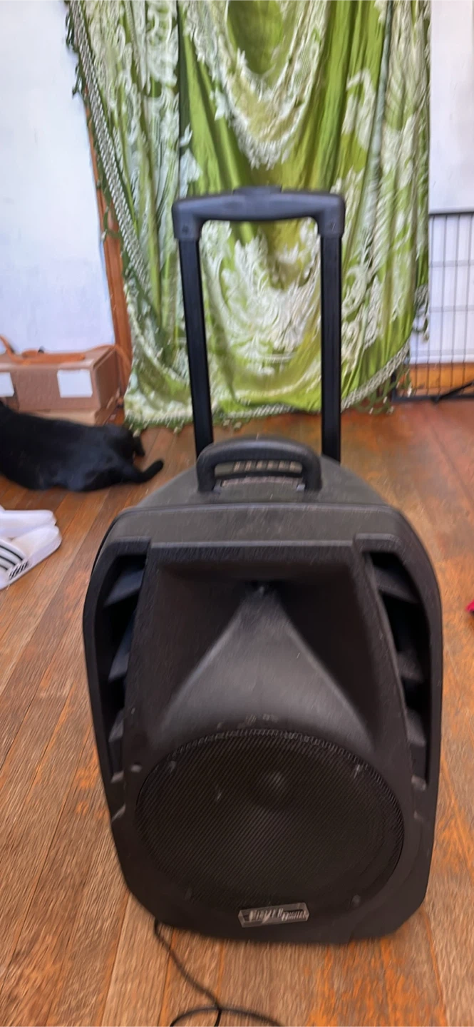 Fisher Digital FD-SOLO Portable Speaker - photo 4