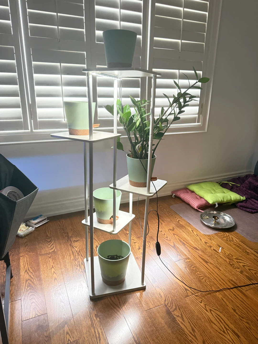 5-Tier Plant Stand + Grow Lights + ZZ Plant + 5 Pots