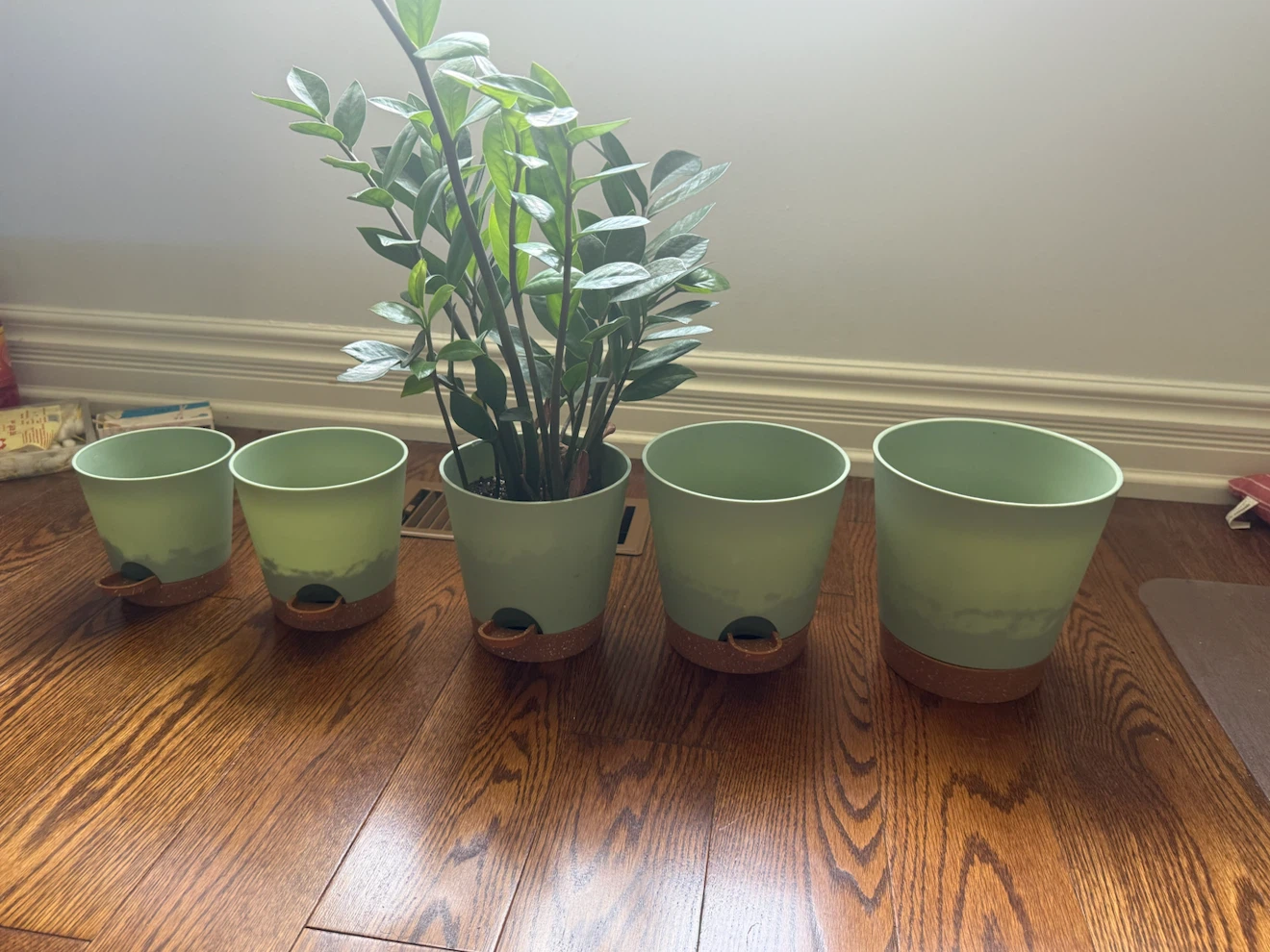5-Tier Plant Stand + Grow Lights + ZZ Plant + 5 Pots - photo 5