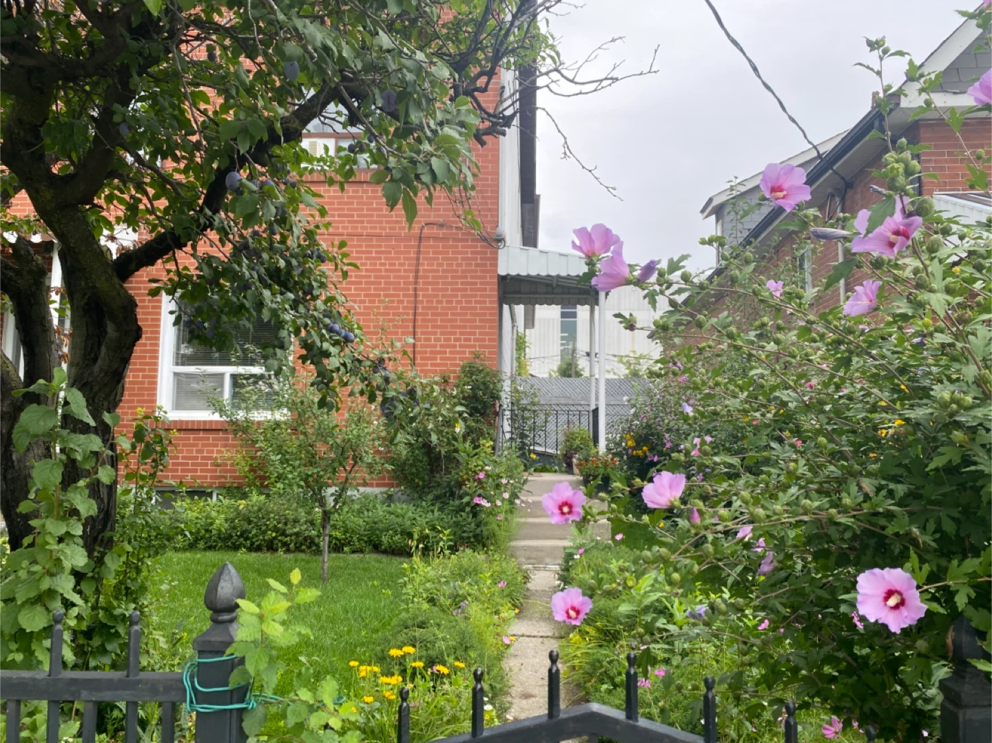 Self-contained apt. For Single or Couple avail.Oct 10.