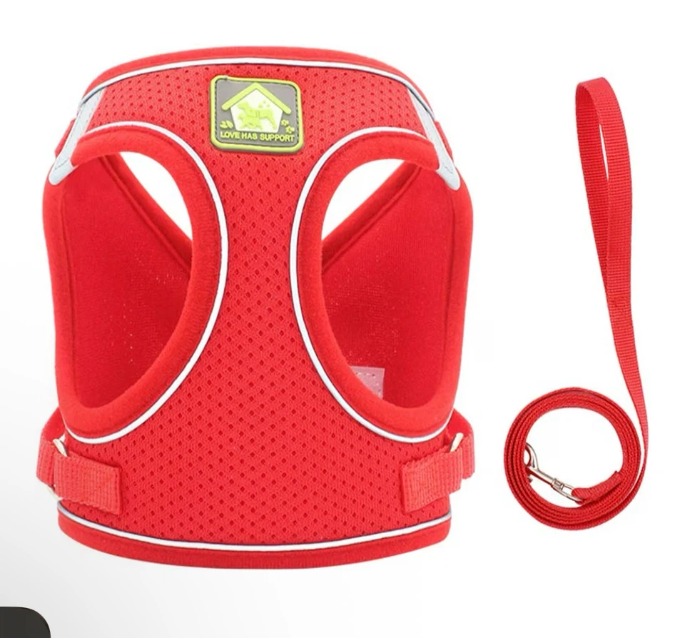 Feimax Red Pet Harness and Leash Set