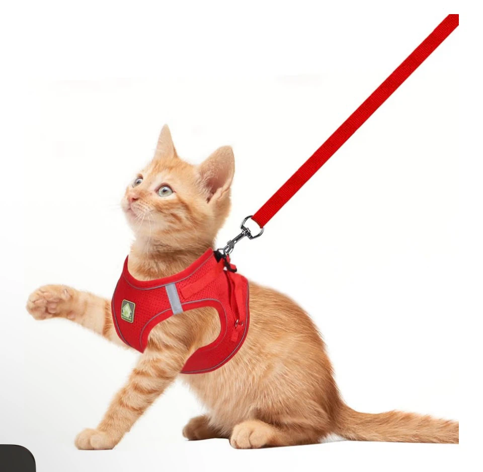 Feimax Red Pet Harness and Leash Set - photo 2