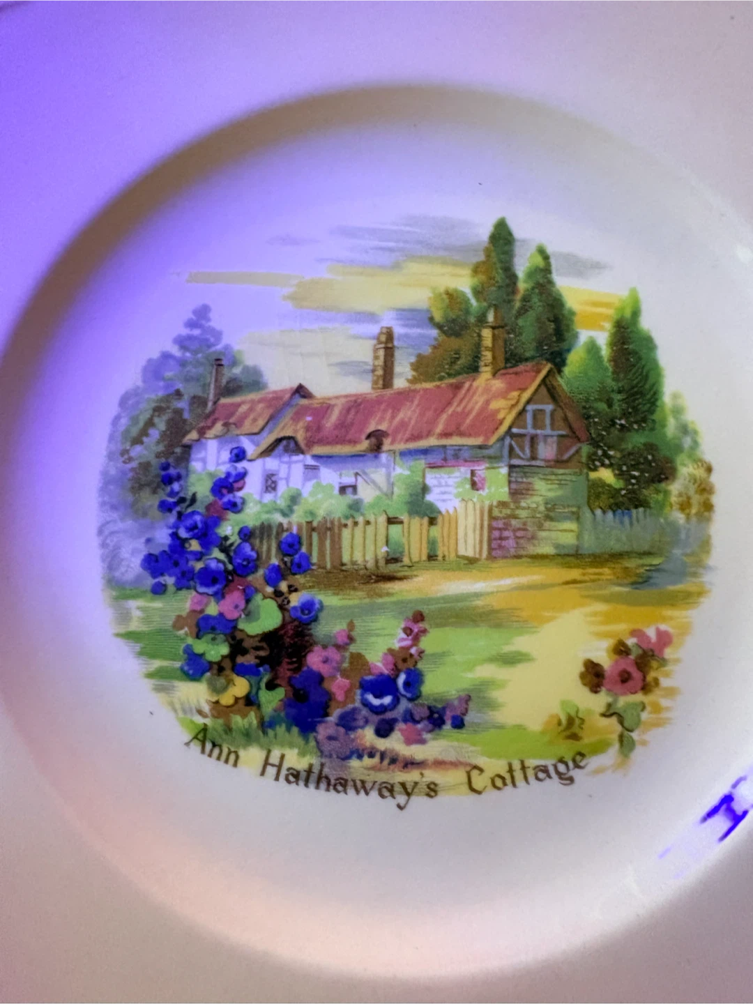 Royal Winton "Ann Hathaway's Cottage" Plate - photo 3