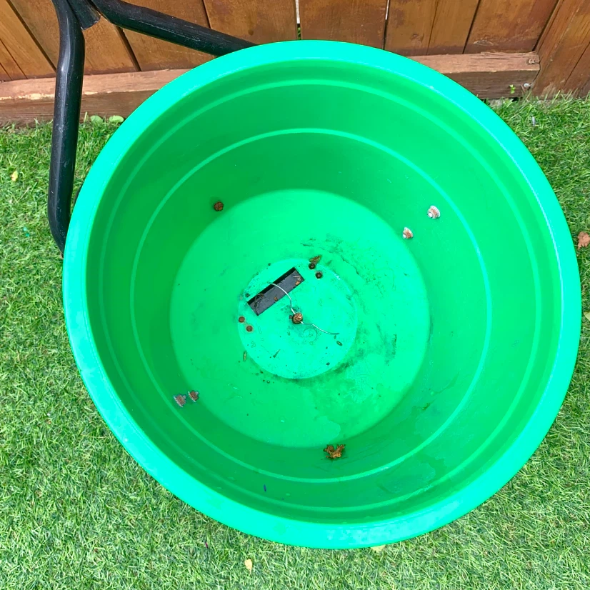 Lawn Garden Spreader Grass Seed Fertilizer Yard Care Push - photo 2