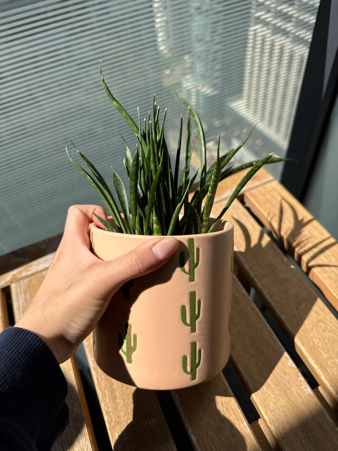 Plant in Cactus Pattern Planter - photo 2