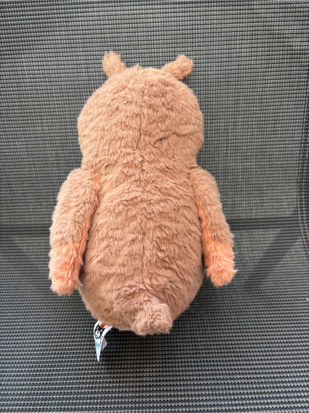 Oakley Owl plush - Jellycat - photo 4