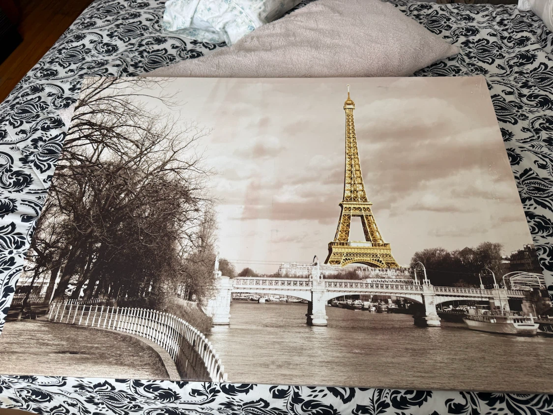 Eiffel Tower canvas wall art
