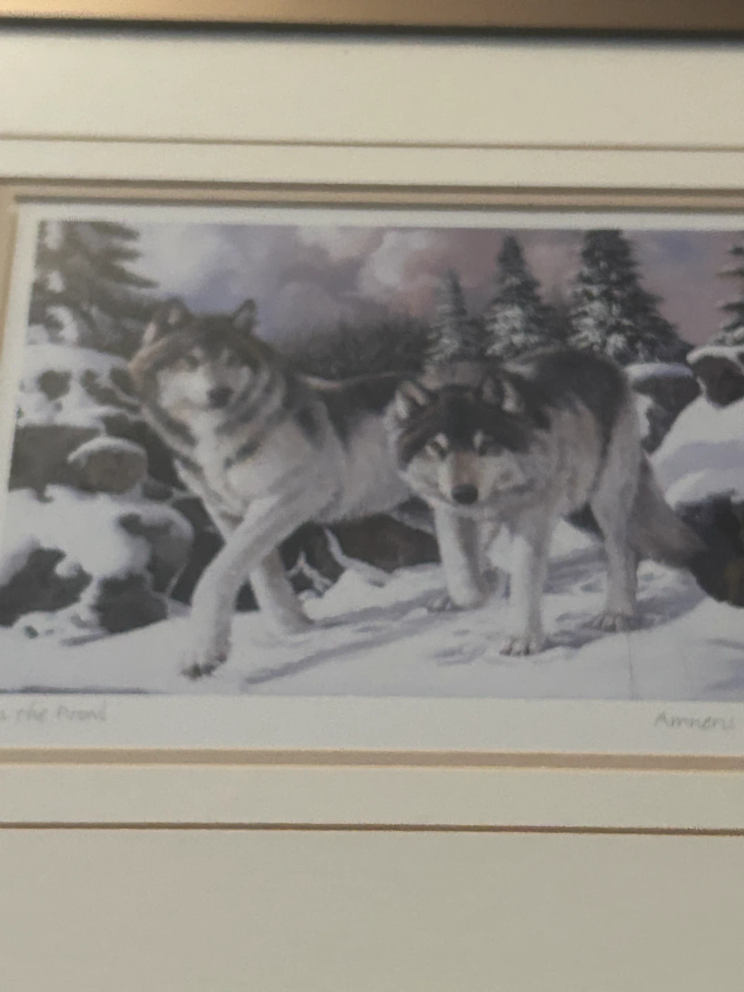 Amneris Fernandez "On the Prowl" Framed Art Print - photo 2