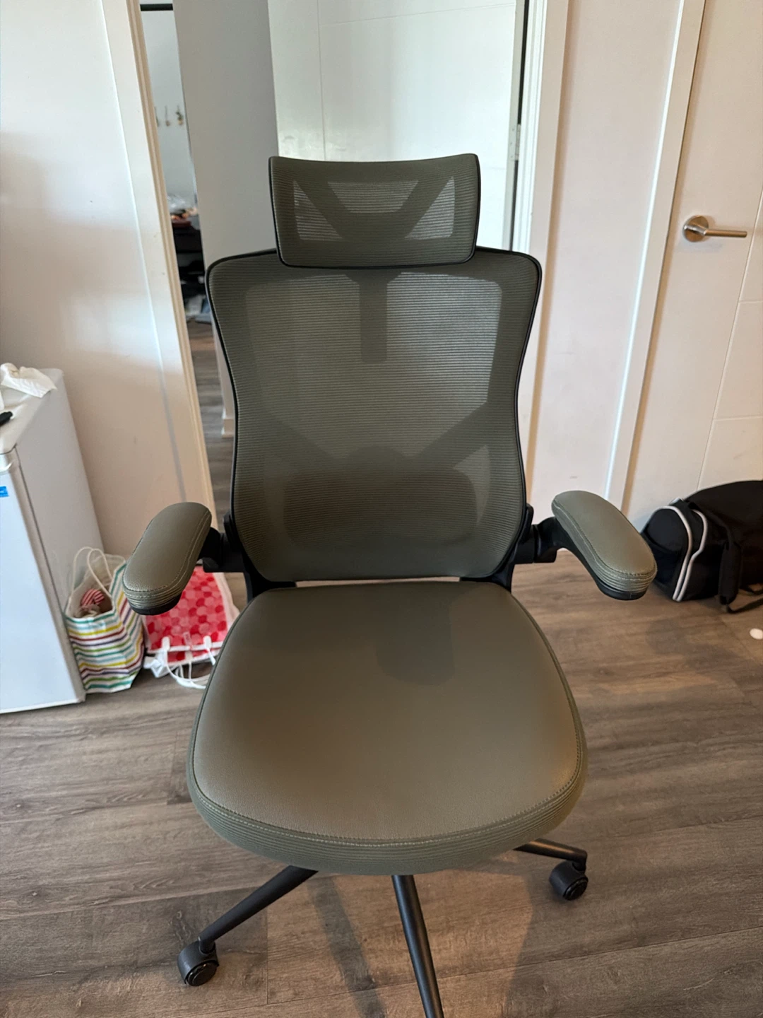 Ergonomic Mesh Office Chair in Olive Green