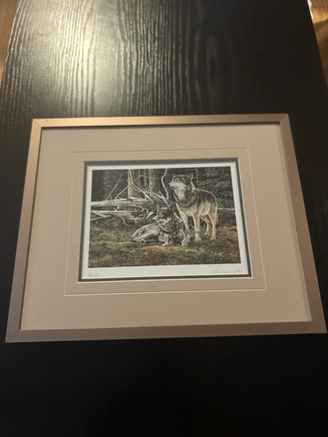 Framed Print of Wolves - "Mates" by Andrew Kiss