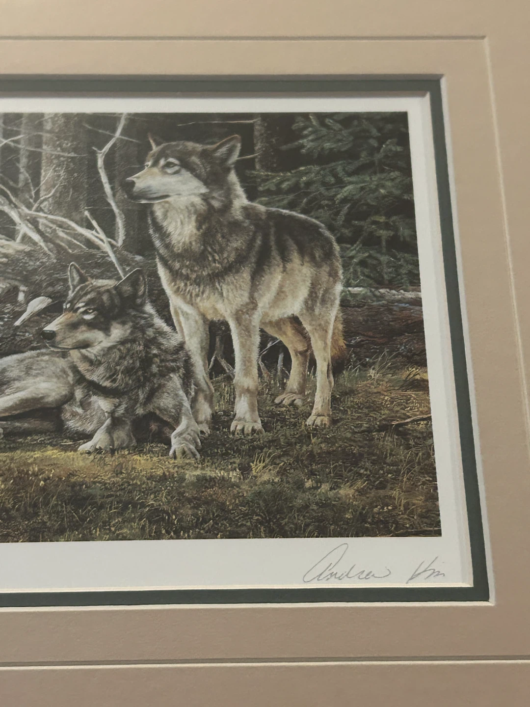 Framed Print of Wolves - "Mates" by Andrew Kiss - photo 2