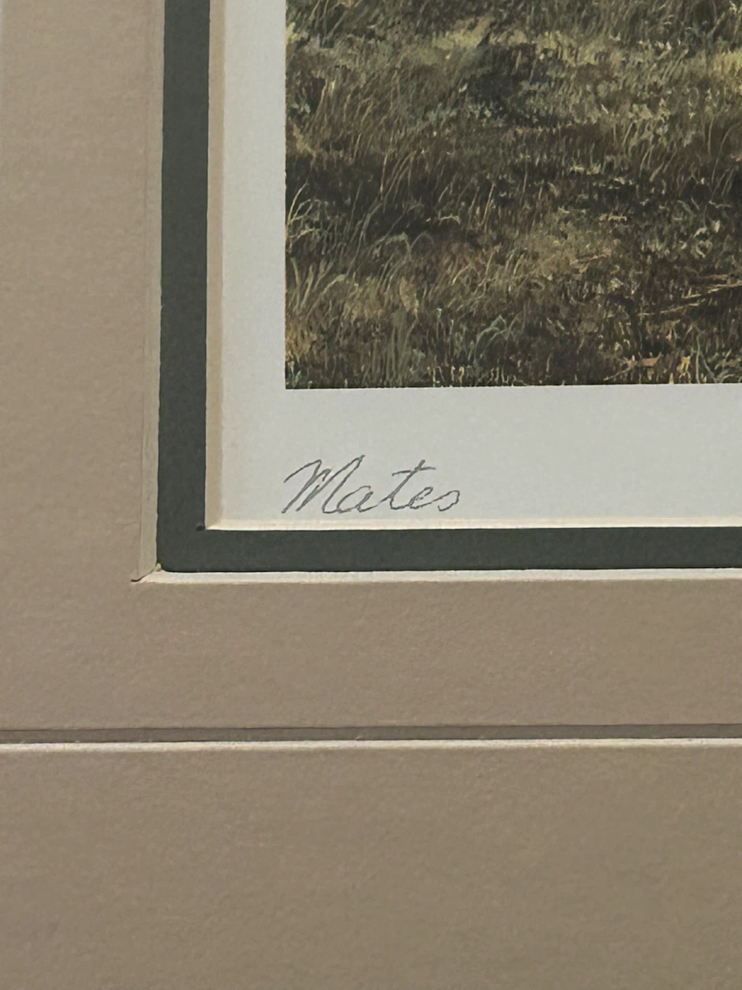 Framed Print of Wolves - "Mates" by Andrew Kiss - photo 4