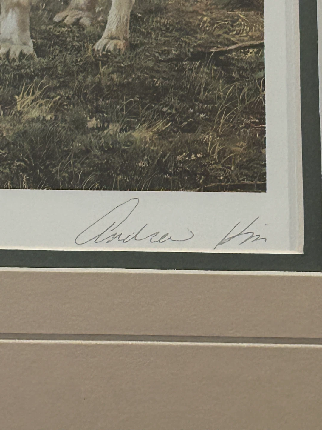 Framed Print of Wolves - "Mates" by Andrew Kiss - photo 5