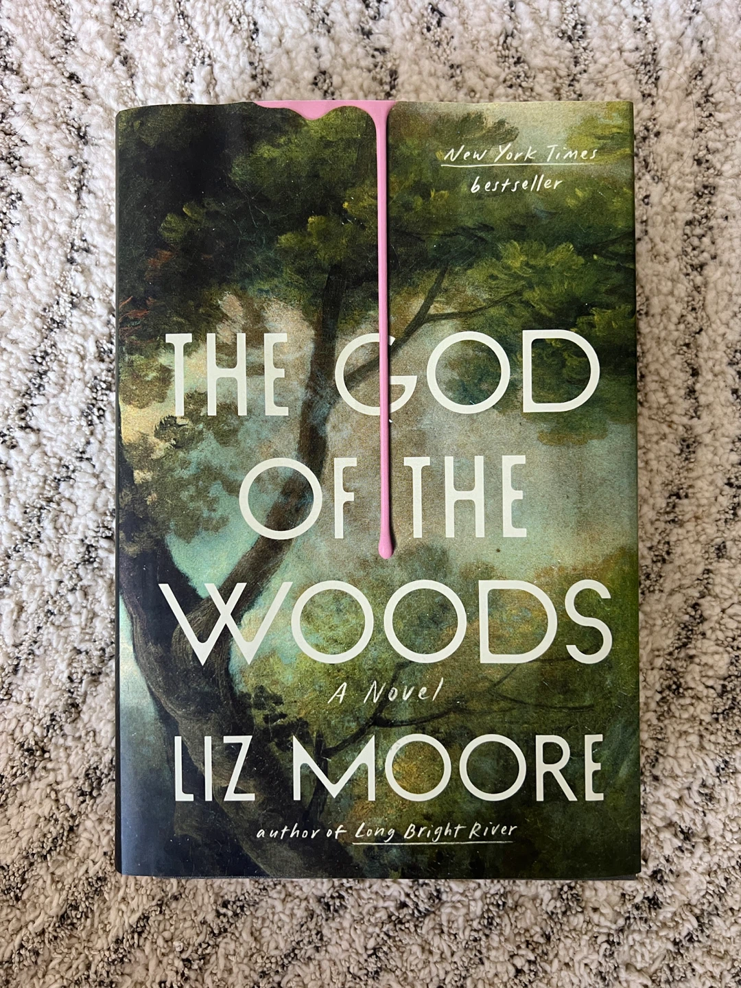 The God of the Woods by Liz Moore