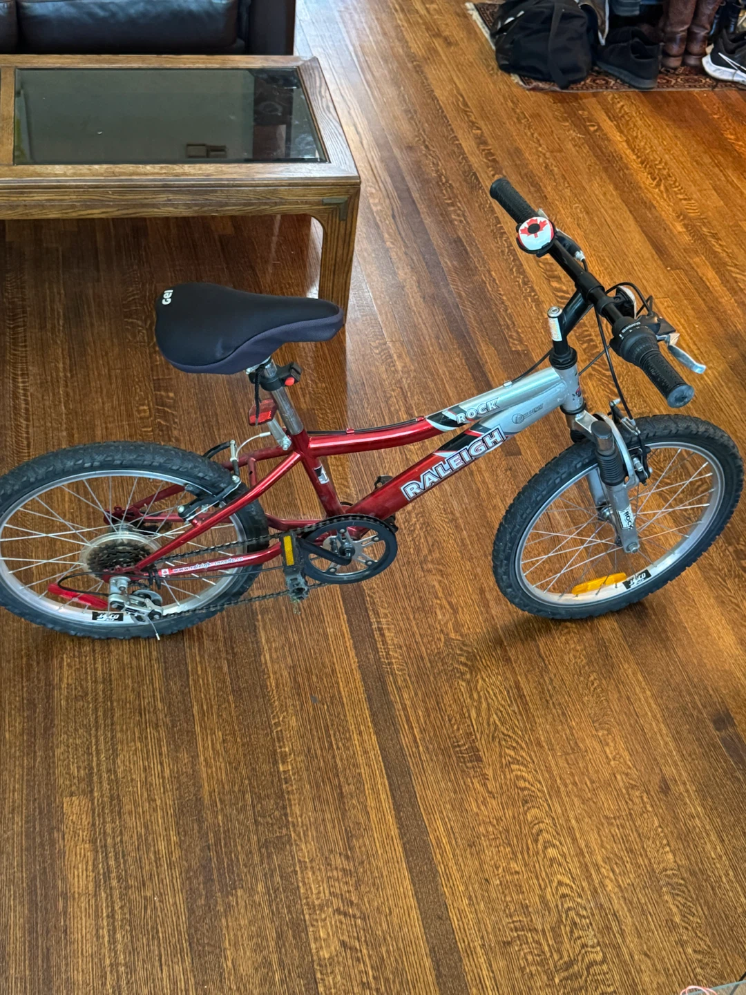 Raleigh Rock Kids Bike
