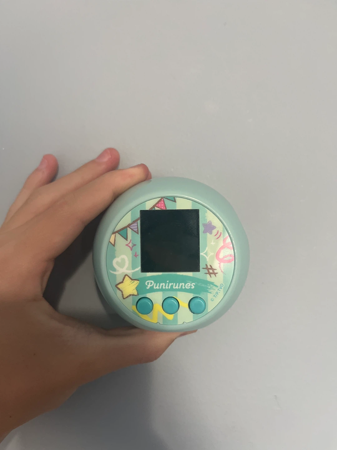 Punirunes Virtual Pet