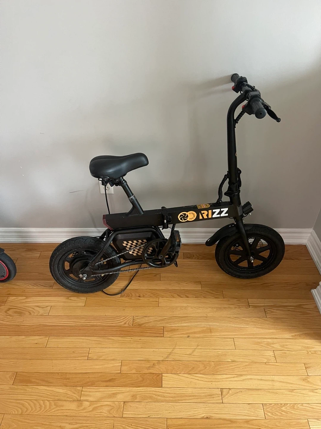 RIZZ Electric Folding Bike