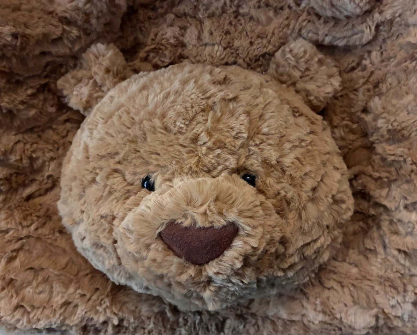 Brand New JellyCat Bag - photo 5