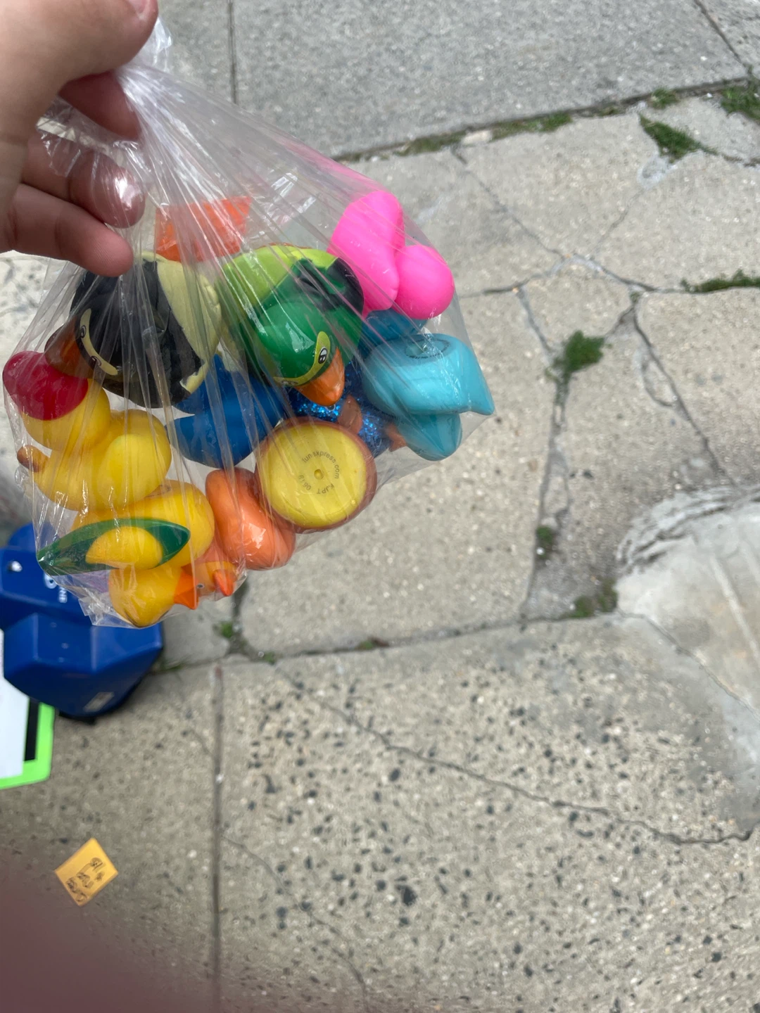 Bag of assorted rubber ducks and bath toys