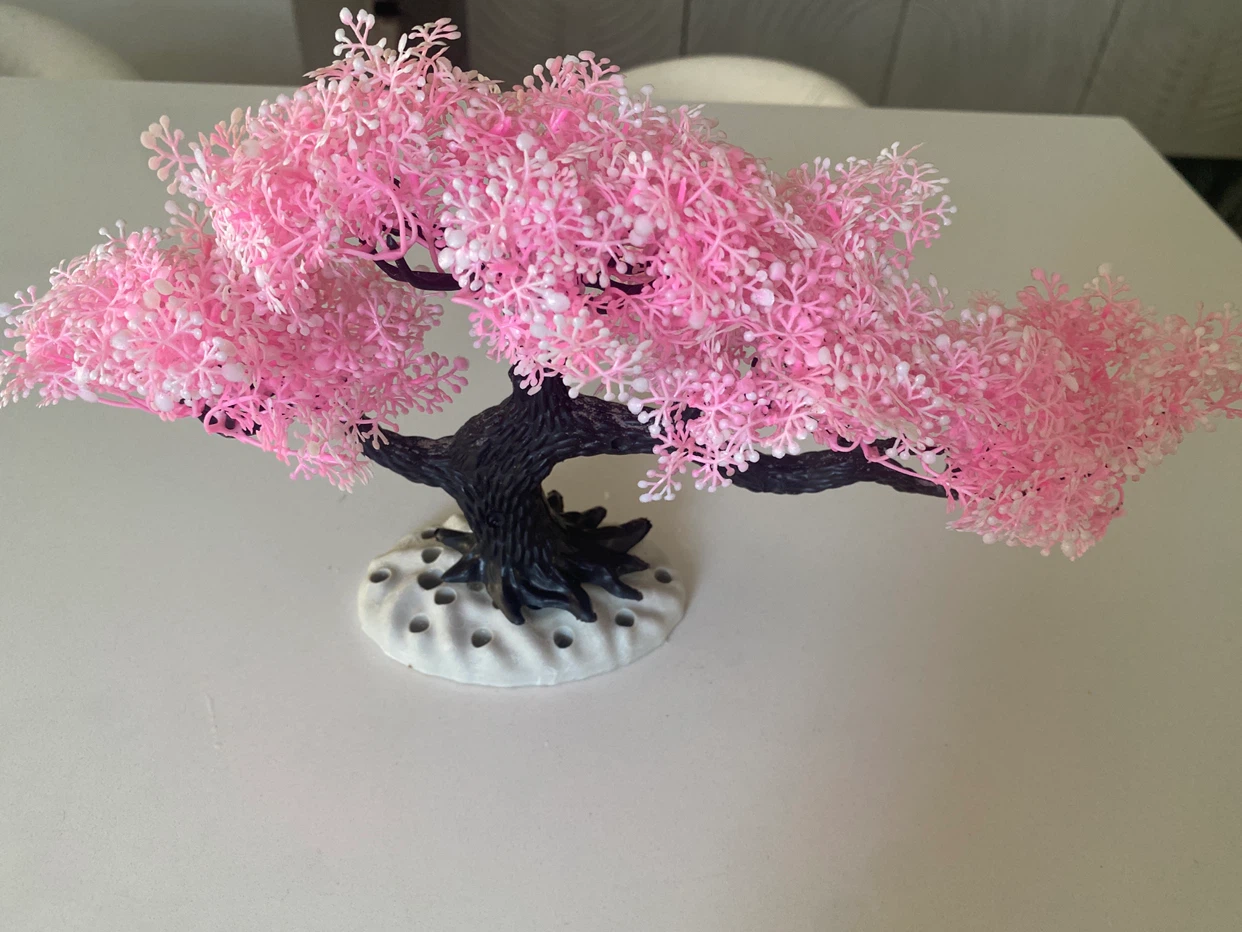 Aquatic cherry blossom tree