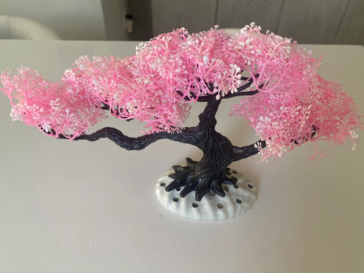 Aquatic cherry blossom tree - photo 2