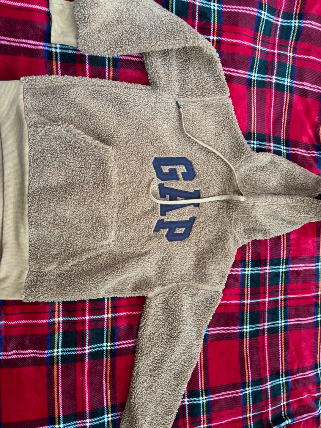 GAP Teddy Fleece Hoodie