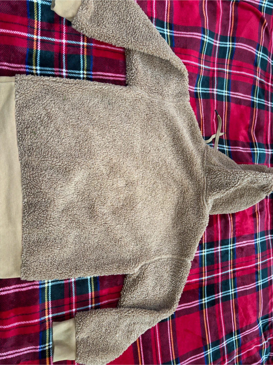 GAP Teddy Fleece Hoodie - photo 2